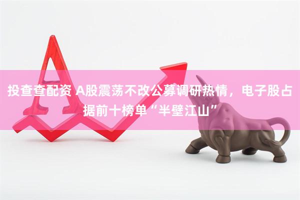 投查查配资 A股震荡不改公募调研热情，电子股占据前十榜单“半壁江山”