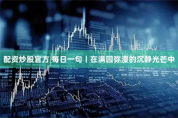 配资炒股官方 每日一句丨在满园弥漫的沉静光芒中