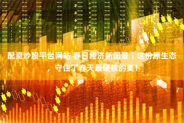 配资炒股平台网站 春日经济新图景｜这份原生态，守住了春天最硬核的美！